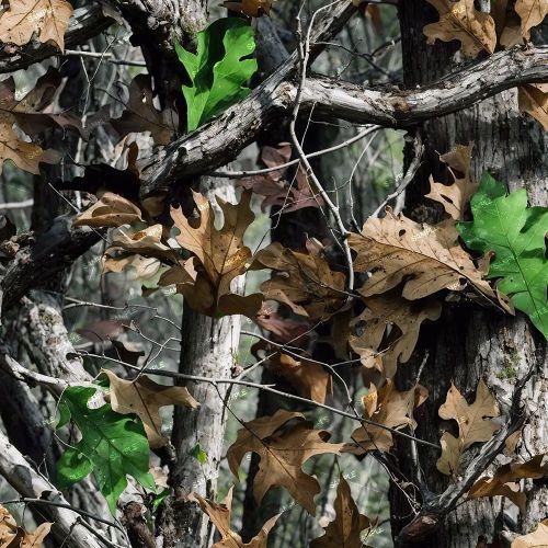 China Tree Camouflage