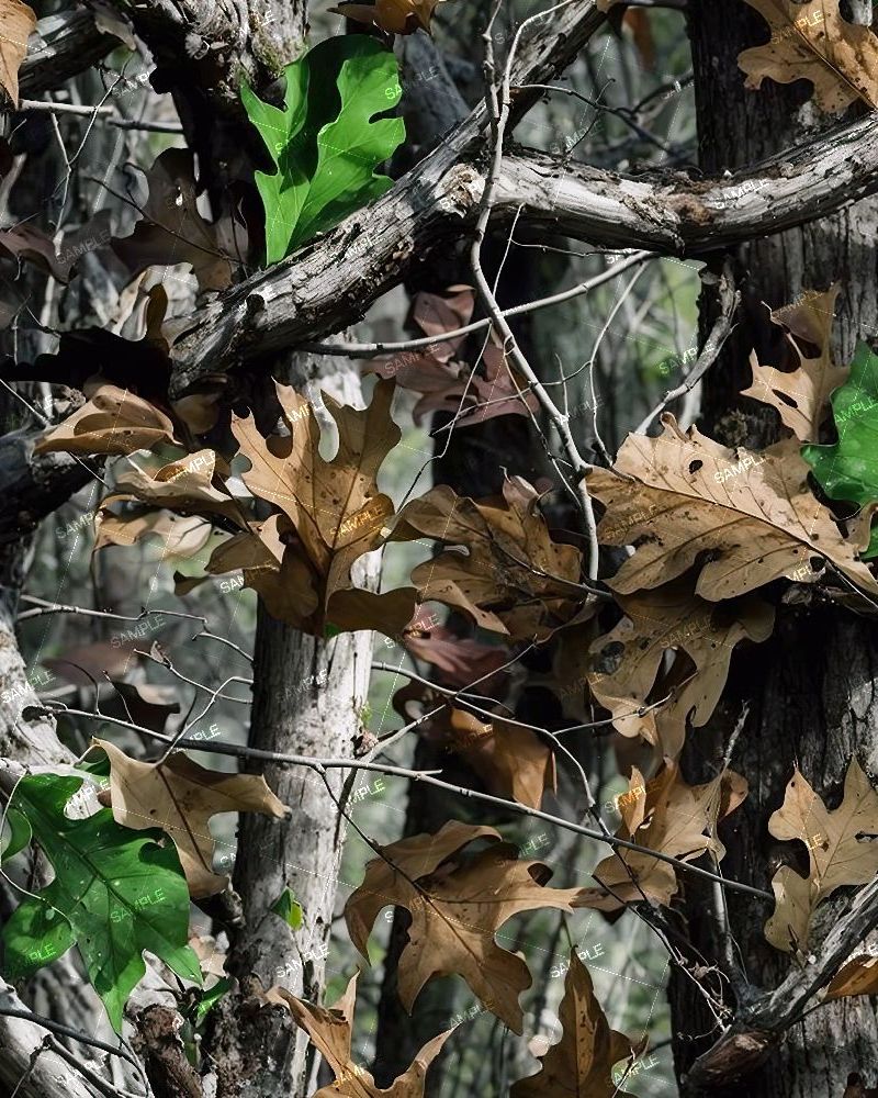 China Tree Camouflage