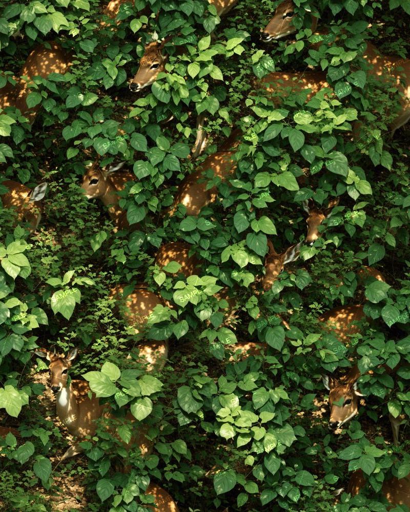 Deer Camouflage 47