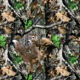 Deer Camouflage 48