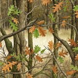 Deer Field Camouflage 44