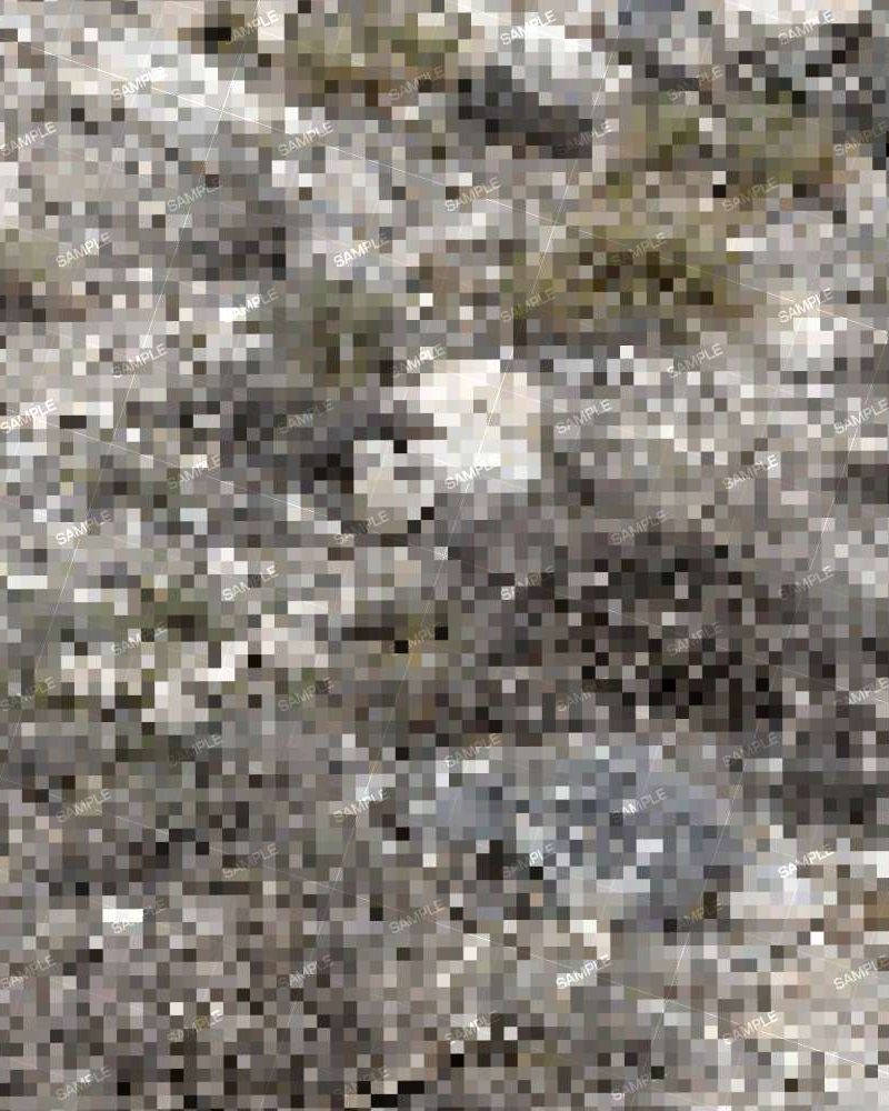 Desert Digital Camouflage