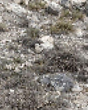 Desert Digital Camouflage