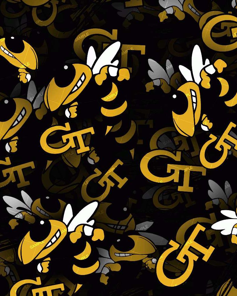 Georgia Tech 22