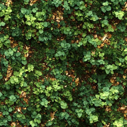 Ground Cover Camouflage