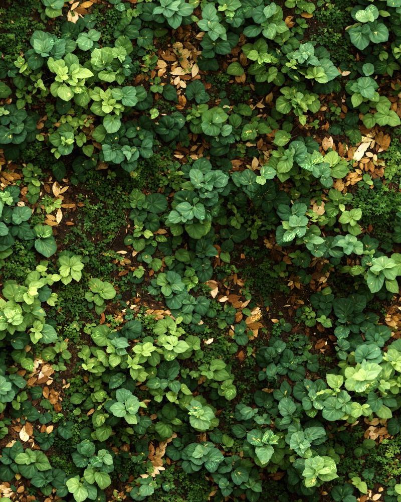 Ground Cover Camouflage