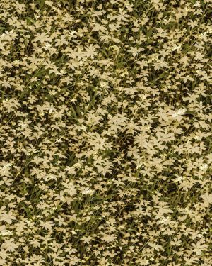 Hippie Flower Camouflage