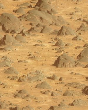 Martian Landscape