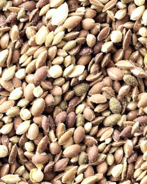 Sativa Kush Marijuana Seeds