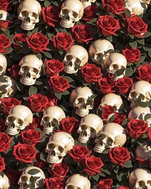 Skulls and Roses 50