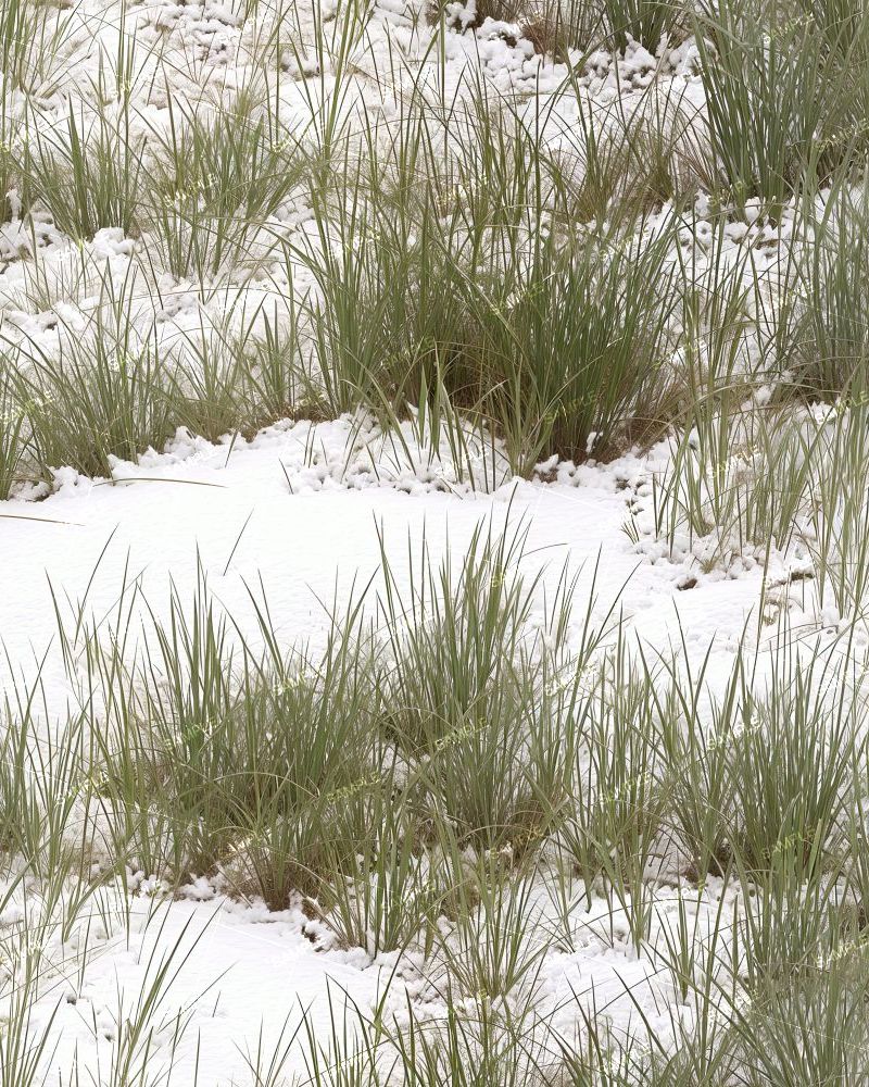 Snow Grass Camouflage