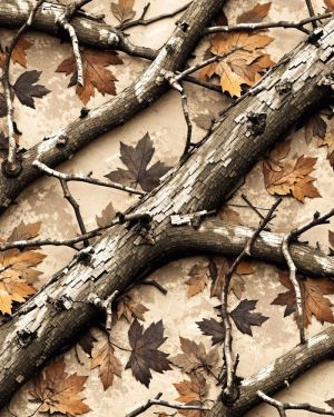 Tactical Camouflage 313