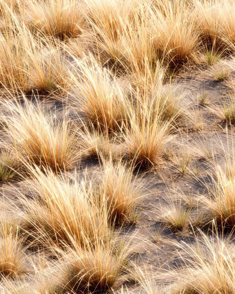 Tactical Camouflage 334