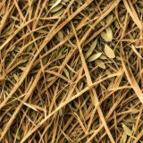 Tactical Camouflage 335