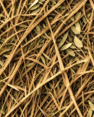 Tactical Camouflage 335