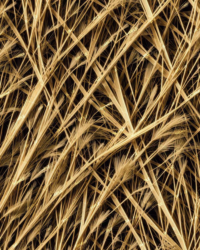 Tactical Camouflage 338