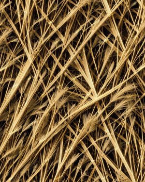 Tactical Camouflage 338