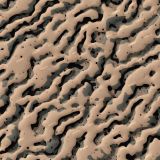 Tactical Camouflage 339