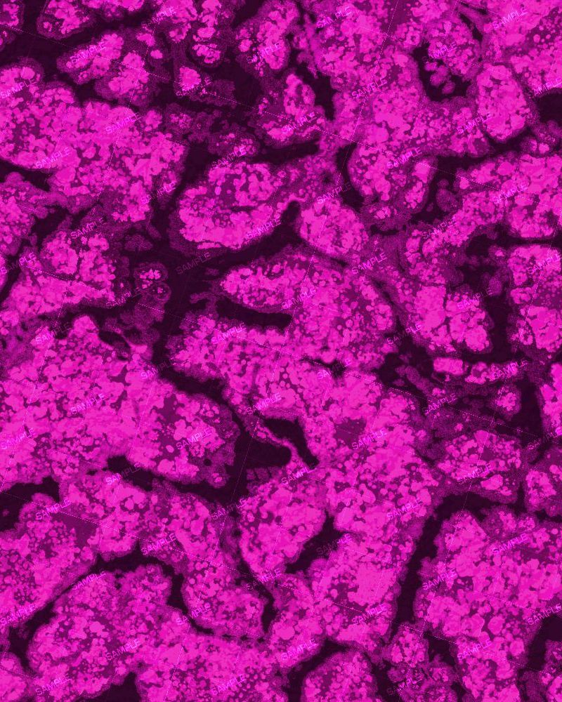 Tactical Camouflage 349