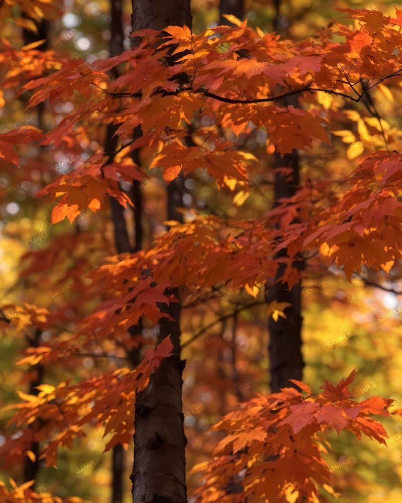 Tactical Camouflage 354