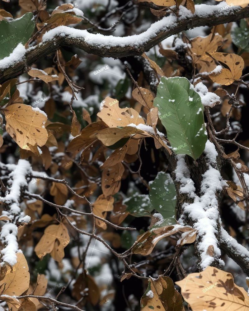 Tactical Camouflage 355