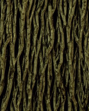 Tactical Camouflage 359