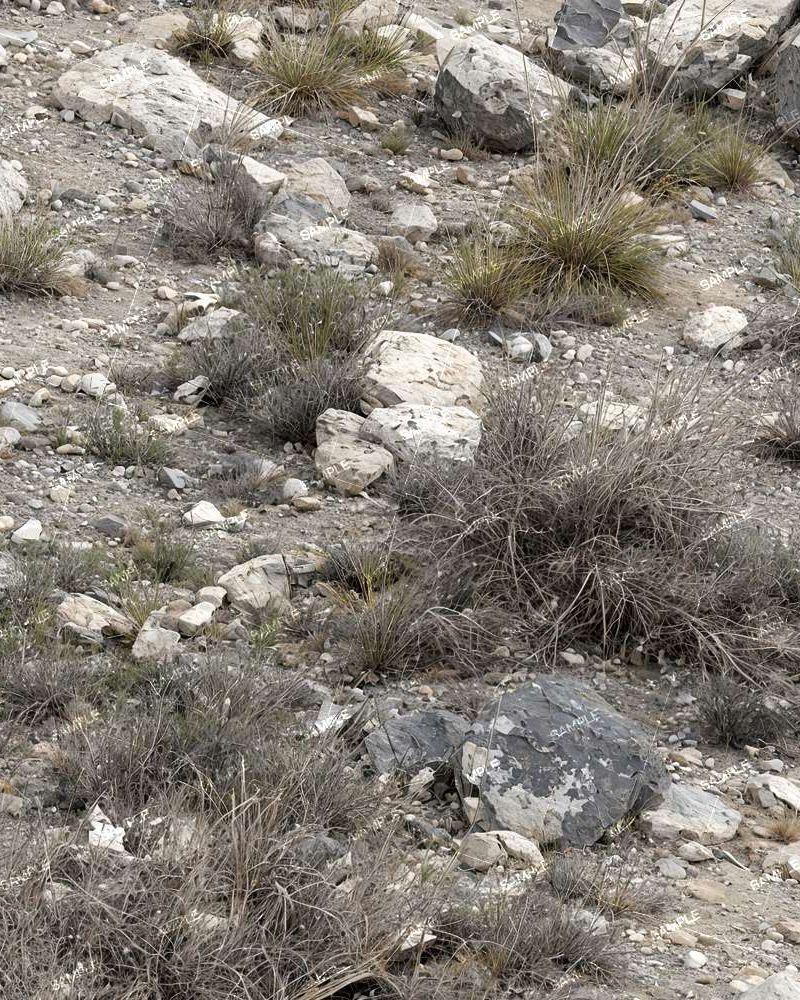 Tactical Camouflage 379