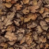 Tactical Camouflage 385