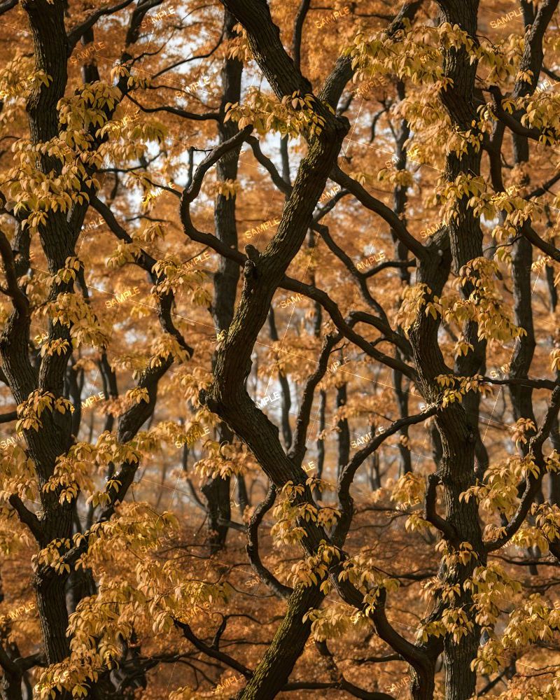 Tactical Camouflage 388