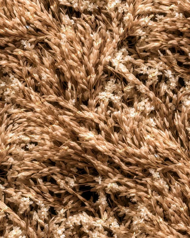 Tactical Camouflage 391