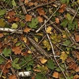 Tactical Camouflage 393