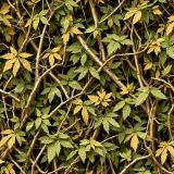 Tactical Camouflage 395