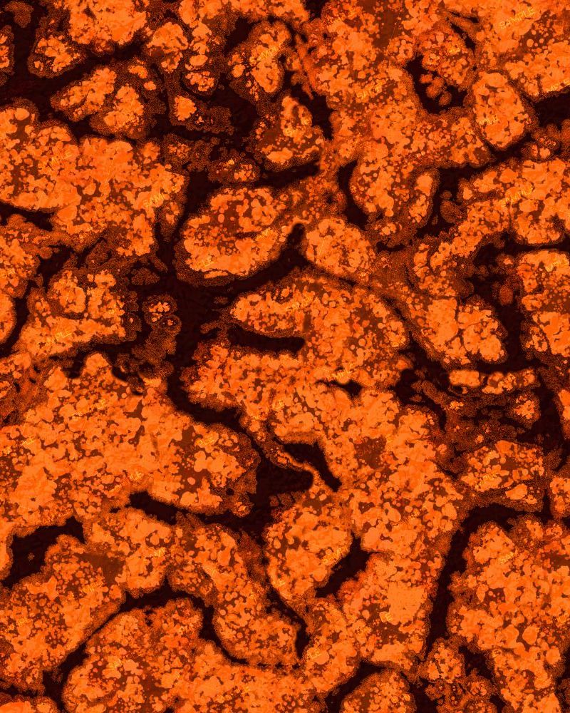 Tactical Camouflage 449