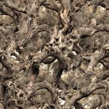 Tactical Olive Tree Camouflage 390