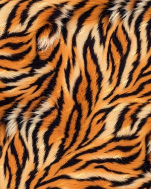 Tiger Fur 46