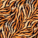 Tiger-Fur-46.jpg