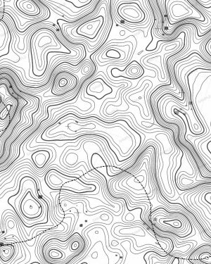Topographical Camouflage Transparent