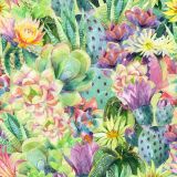 Watercolor-Succulents-23.jpg