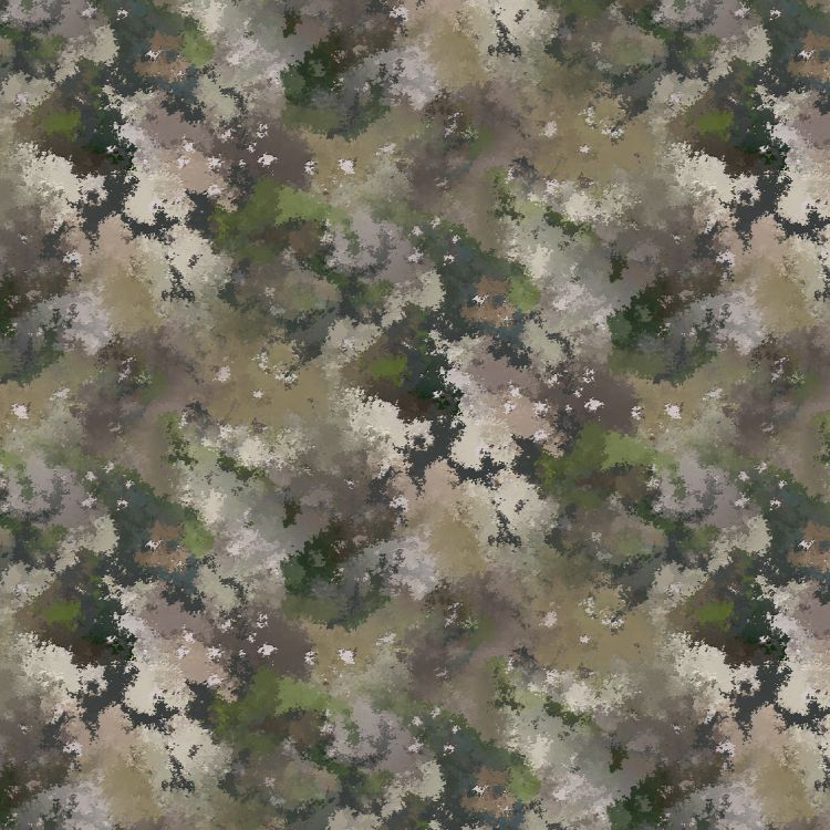 2.0 Transitional Enhanced Camouflage