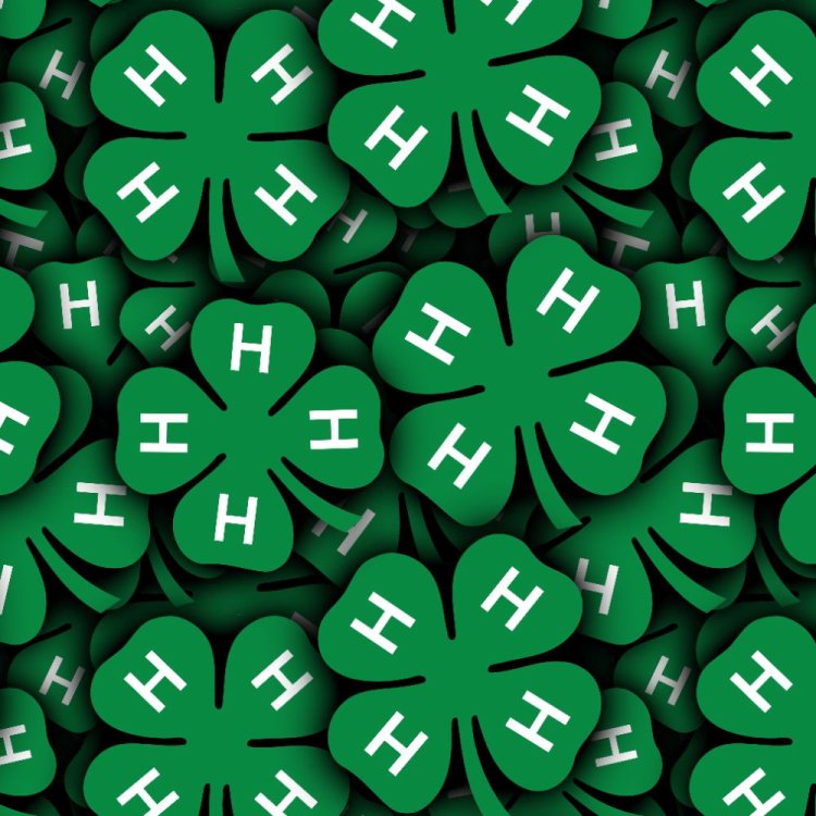 4H Club
