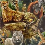 African-Animals