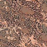African-Camo-22-1