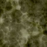Alien-Camo-25-1