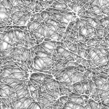 Alien-Foam-32.jpg