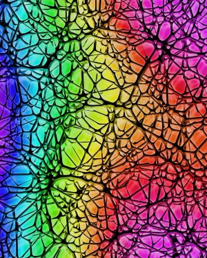 Alien Foam Rainbow 24