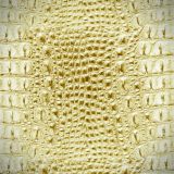 Alligator-Leather-Albino-23