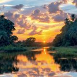 Amazon-River-Sunset-42