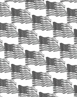 American Flag 22