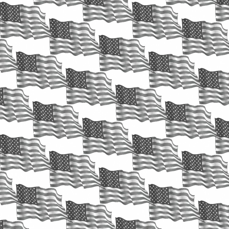 American Flag 22