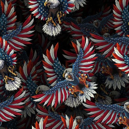 American Flag Eagle 22